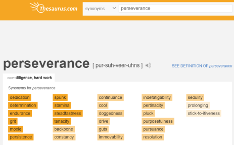 thesaurus_perseverance